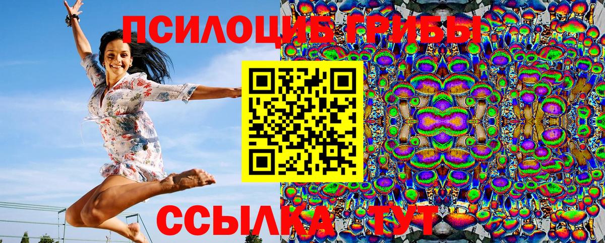как найти закладки  Вход с VPN  Майский  Псилоцибиновые грибы Psilocybine cubensis 