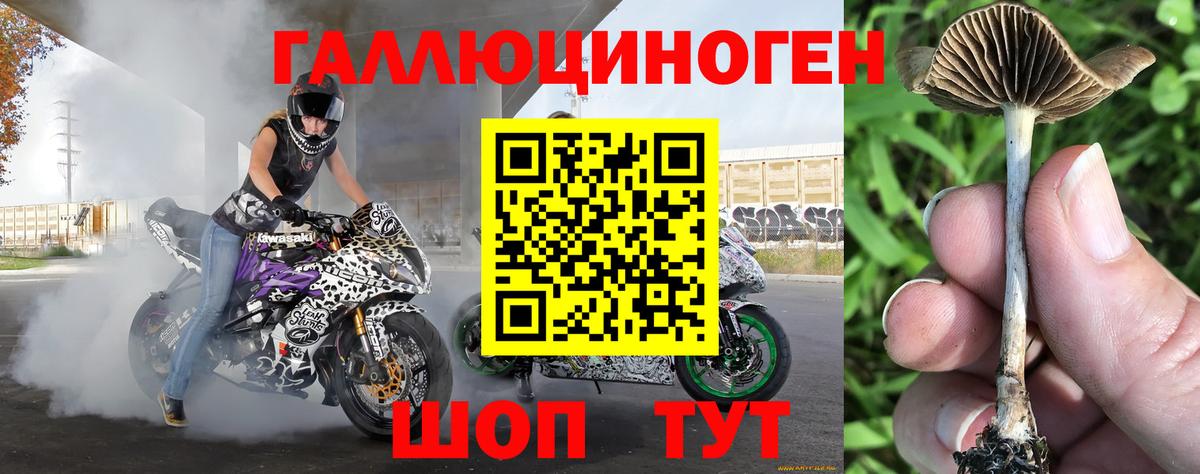 Псилоцибиновые грибы прущие грибы Майский